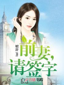 男主女主是辛安,江碧琪,沈琳的小说是什么_前妻，请签字