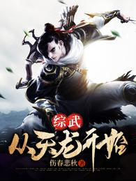 武道从天龙开始_综武：从天龙开始