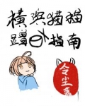 小说《横滨猫猫蹭饭指南》TXT下载_横滨猫猫蹭饭指南
