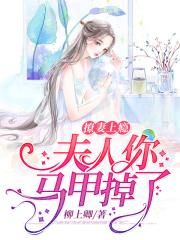 小说《撩妻成瘾：夫人你马甲掉了》TXT百度云_撩妻成瘾：夫人你马甲掉了