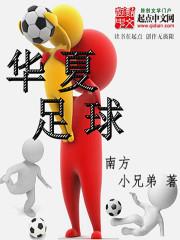 足球小说主角是混血华裔_华夏足球之入欧计划
