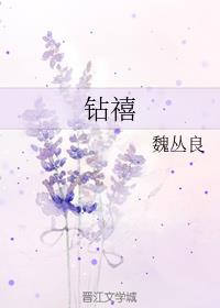 《钻禧》作者：魏丛良【完结+番外】“生病了就吃药，大家都明白的道理。可如果这种病治不好呢？”abo，_钻禧