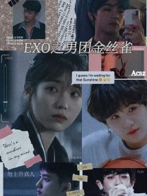 小说《exo男团金丝雀》TXT下载_exo男团金丝雀