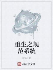 男主女主是释小枫,龙珠,杨文燕的小说是什么_重生之规范系统