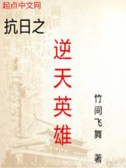 男主女主是陈琳,徐飞虎,郑兰妮的小说是什么_抗日之逆天英雄
