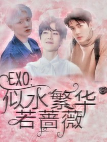 张艺兴吴世勋《EXO：似水繁华若蔷薇》_EXO：似水繁华若蔷薇