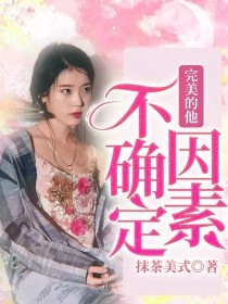 小说《完美的他：不确定因素》TXT百度云_完美的他：不确定因素