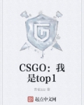 小说《CSGO：我是top1》TXT百度云_CSGO：我是top1
