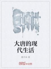 男主女主是李世民,李渊,杨曦凝的小说是什么_大唐的现代生活