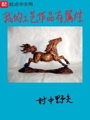 男主女主是卢毅,赵丹,曹文山的小说是什么_我的工艺作品有属性