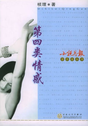 男主女主是倪琨,陈波,小菊的小说是什么_第四类情感