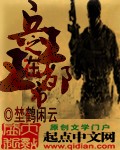 电子书兵王在都市系列_兵王之王在都市