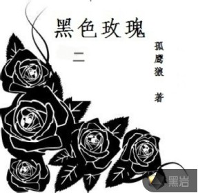 黑玫瑰小说二盒_黑色玫瑰二