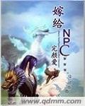 男主女主是师叔,陈季林,小爱的小说是什么_嫁给NPC