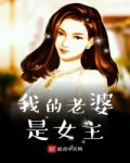 男主女主是张文宏,杨诗沂,云心月的小说是什么_我的老婆是女主