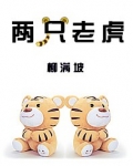 小说《两只老虎》TXT下载_两只老虎