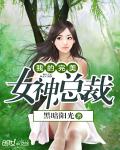 小说《我的完美女神总裁》TXT百度云_我的完美女神总裁