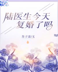 陆医生今天复婚了吗txt下载_陆医生今天复婚了吗