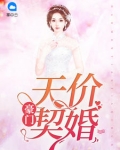 小说《豪门天价契婚》TXT下载_豪门天价契婚