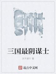 男主女主是张伟,陈东平,丁三水的小说是什么_三国最阴谋士