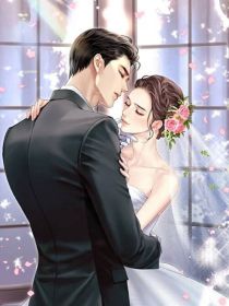 男主女主是墨逸轩,刘浩,墨子轩的小说是什么_闪婚老公求放过