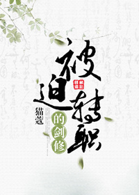 男主女主是叶江雪,颜越,崔煜的小说是什么_被迫转职的剑修