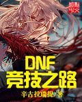 DNF之王者竞技_DNF竞技之路