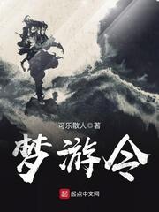 小说《梦游令》TXT百度云_梦游令