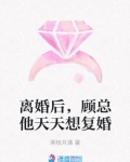 离婚后，顾总他天天想复婚_离婚后，顾总他天天想复婚