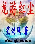 蒋琪天武《龙游红尘》_龙游红尘