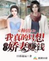 男主女主是叶珏,李红苕,叶鸿伟的小说是什么_种田：我真的只想带着娇妻赚钱