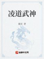 男主女主是杜亮,澜国,司徒皓月的小说是什么_凌道武神