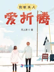 男主女主是张晓莹,陈曦,王明炯的小说是什么_我家夫人爱折腾