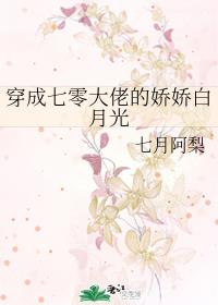 男主女主是蓉蓉,叶晨川,宋婉月的小说是什么_穿成七零大佬的娇娇白月光