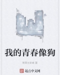 男主女主是刘流,李亚京,王涛的小说是什么_我的青春像狗