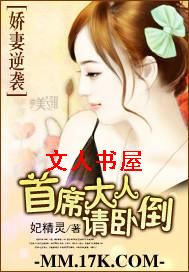 男主女主是韩锦风,杜雅丽,韩锦宇的小说是什么_娇妻逆袭:首席大人请卧
