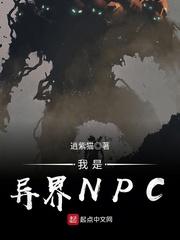 小说《我是异界NPC》TXT百度云_我是异界NPC