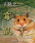 子鼠之霉鼠 小说_子鼠之霉鼠