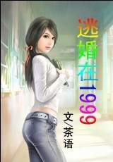 男主女主是苏曦,林枫,白灵的小说是什么_逃婚在1999