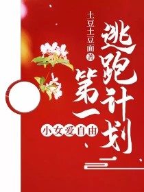 小说《小女爱自由：第一逃跑计划》TXT百度云_小女爱自由：第一逃跑计划