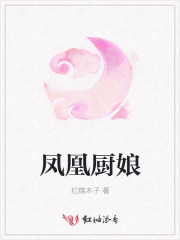 男主女主是唐岚,唐承义,许木木的小说是什么_凤凰厨娘