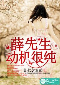 男主女主是瑶瑶,薛枫,何芳的小说是什么_薛先生，动机很纯