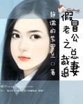 小说《假冒老公之总裁追妻》TXT下载_假冒老公之总裁追妻