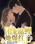 男主女主是简君泽,简允恒,李玉锦的小说是什么_团宠锦鲤她爆红了