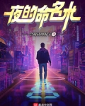 夜的命名术有声版_夜的命名术