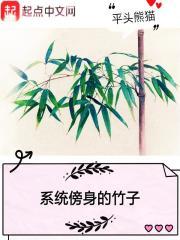 男主女主是雷竹,小青,林天南的小说是什么_系统傍身的竹子