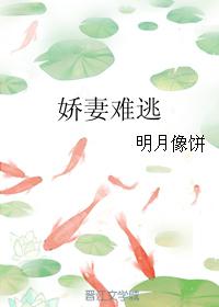 小说《娇妻难逃》TXT下载_娇妻难逃