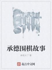 男主女主是李铁如,李铁,朱元涛的小说是什么_承德围棋故事