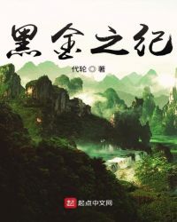 男主女主是云镜南,廖光州,张岩的小说是什么_黑金之纪