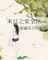 法师诱惑之光 安全区_末日之安全区